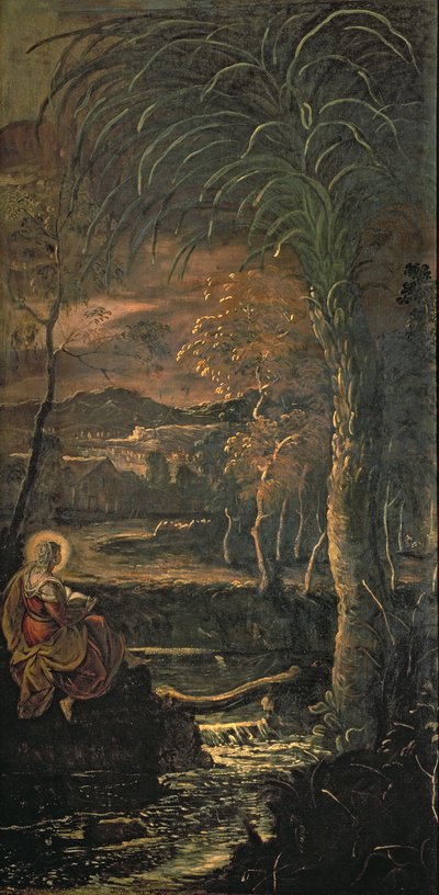 St. Maria von Ägypten in der Wildnis von Jacopo Robusti Tintoretto